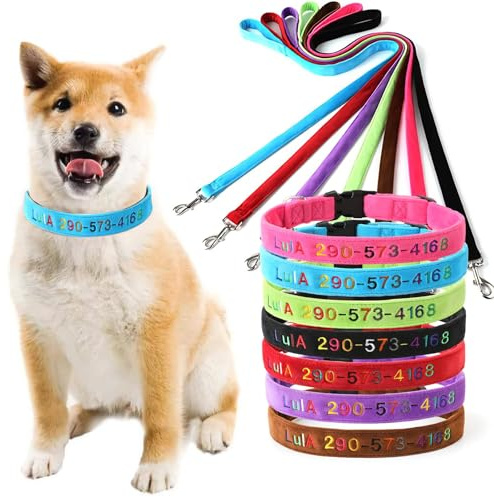Personalisiertes Hundehalsband, bequem, gepolstert, bestickter Name und Telefonnummer, verhindert Verlust von Haustieren, individuelles Hundehalsband für kleine, mittelgroße und große Hunde