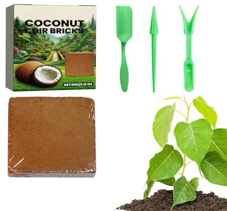 Baoqifong Blocco di Fibra di Cocco | Substrato Organico da Coltivazione con Gusci di Cocco,Naturali Riutilizzabili per Giardinaggio, Accessori Idroponici e Trapianti in Agricoltura Biologica