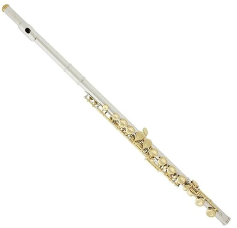 Querflöte Instrument C-Tonart 16-Loch Geschlossene Flöte Weißkupfer Versilbertes Instrument E-Tonart Mit Box