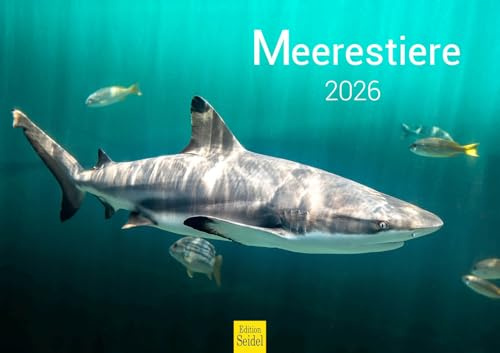 Edition Seidel Calendario premium de animales marinos 2026, formato DIN A3, calendario de pared, calendario de animales, delfines, ballenas, tiburones, medusas, tortugas, rayas, payaso, corales, peces