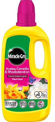 Miracle-Gro 121180 Azelia, Camellia & Rhododendron Concentrated Plant Food, 800 ml, Natural