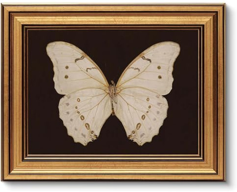 AGOLINE Gold Framed Vintage Wall Art for Living Room,White Butterfly,8x10in