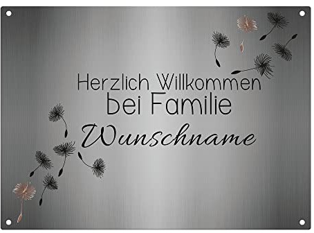 Wetterfestes Türschild Familie mit Namen - Willkommen bei Familie Ihr Name - Familienschild personalisiert Haustür Schilder mit Name | Metallschild Pusteblume, 28x20 cm