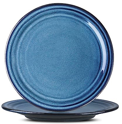 HASENSE Ceramic Dinner Plates Set of 2,10 Inch Large Porcelain Pasta and Salad Plates,Blue Stoneware Plate Set Microwave,Oven,and Dishwasher Safe