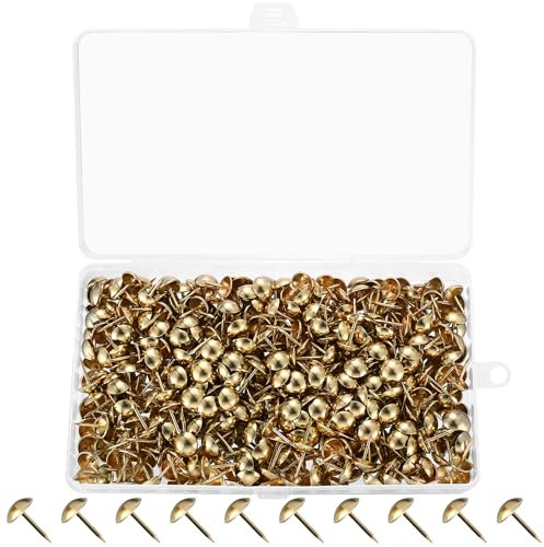 Tenbrachian 580 Pz Chiodi da Tappezzeria, Chiodini per Tappezzeria, Puntine per Tappezzeria, Spilli per Tappezzeria Antichi, Puntine per Mobili Decorativi, Chiodi Tappezzeria per Foto Mobili(Oro)