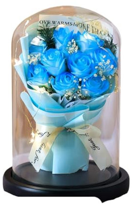 CH HIUBIE Campana de cristal de rosas estabilizadas, regalo romántico para ella, personalizable con iluminación, tarjeta de felicitación (regalo para diferentes ocasiones) (9 rosas de color azul hielo