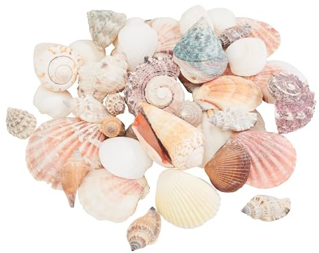 Eurosand Muschel-Mix Natur 600 g, Deko-Muscheln für maritime Dekoration, Basteln, Aquarien, Strandthemen, Tischdeko, DIY Projekte