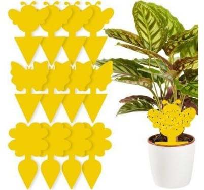 PrzydaSie 12 x Gelbsticker Trauermücken, Fliegenfalle, Gelbtafeln Fruchtfliegenfalle klebefalle Insektenfalle für die Zimmerpflanzen Schädlingsbekämpfung
