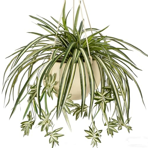 Laelfe 3 Packs Artificial Spider Plants for Outdoor, Large Faux Silk Chlorophytum Comosum Realistic Fake Spider Plant for Outdoors Indoor Home Office Garden Decoreations (Basket Not Included)