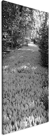 Chemin des jacinthes de raisin panoramique 80 x 40 cm Effet : noir/blanc comme image sur toile, motif monté sur cadre en bois véritable, impression numérique de qualité supérieure avec cadre