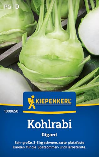 Kiepenkerl Kohlrabisamen Gigant 1009650, Gemüsesaat | Riesengroße, Inhalt für 150 Pflanzen, Wuchshöhe 50-60 cm, Gewicht 3-5 kg