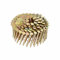 DeWalt DNR3122GZ Coil Nail DNR 22 mm 7.2kSt Galv Multi-Coloured 22 mm Pack of 6