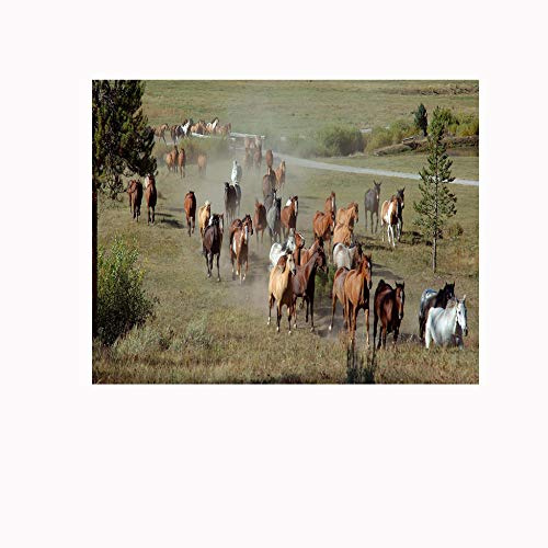 Fotomurales Autoadhesivo Grupo de caballos 300x200cm Decoración de Pared decorativos Murales moderna de Papel Pintado Sala Living Oficina Dormitorio