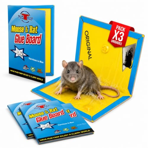 DESK GLOBAL | Trappola per ratti adesivi ultra forti confezione da 3 | trappole per topi extra potenti | mousse per catturare topi senza veleni e tossici | uso interno e semi-esterno
