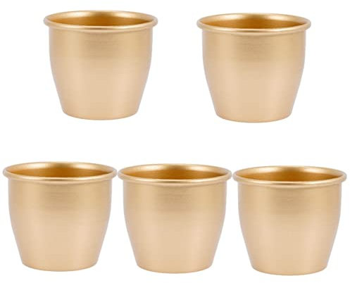 BESPORTBLE 5stücke Kleinblumenkübel Aus Eleganter Pflanztopf Für Sukkulenten Und Kleine Pflanzen Dekorativer Innenblumentopf Für Zuhause Robustes Design Aus Hochwertigem