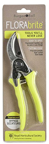 Burgon & Ball FloraBrite RHS Endorsed Bypass Secateur, 21 cm Length, Yellow