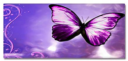 Morbuy Personalisierte Fußmatte Rutschfester Türvorleger mit 3D Schmetterling Druck, Schmutzfangmatte Waschbar Fussmatte Innen Badteppiche (50x80cm,Lila weiß)