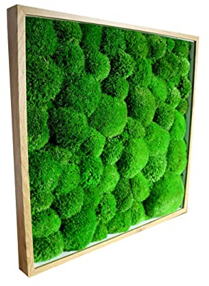 Hello Moss Moosbild - Rahmen mit Moos - Bilderrahmen mit Kugelmoos, Polstermoos - Moosbilder für Ihr Haus - verschiedene Großen - Handgefertigt Mooswand - Einzigartige Wanddeko (Braun, 30x30cm)