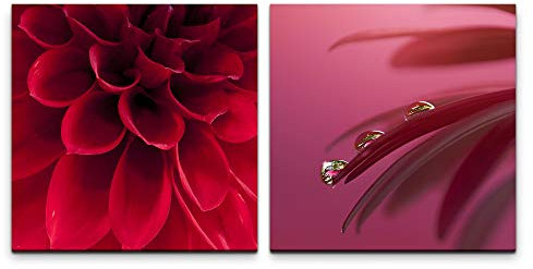 Paul Sinus Art Wandbild 2x60x60cm Dahlia rote Blüte schöne Blumen Wassertropfen Wasserperlen Kunstvoll Dekorativ