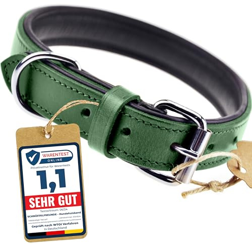 Schnüffelfreunde Halsband für Hunde aus Leder, Hundehalsband für den großen, mittleren und kleinen Hund, Lederhalsband gepolstert, robust (L - 36-45cm, Grün)