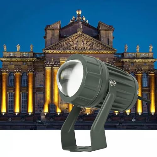 Faretti a LED - Proiettore a Fascio Stretto, Faretto da Pavimento a LED per Esterni da 10 W, da da Parete per Esterni Impermeabile IP65, Illuminazione paesaggistica, Luci con ano di Fascio re