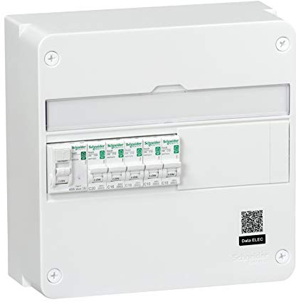Schneider Electric SC5R9H113SP02N Tableau de Montage avec Disjoncteur, Blanc
