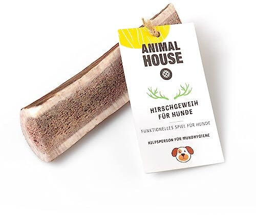 Animal House - Corna di Cervo Premium per Cani Sezionate - 100% Naturali e Resistenti - Migliora l'Igiene Orale - Adatte a Tutte le Taglie - Cruelty-Free (XL)