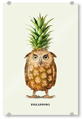 artboxONE Acrylglasbild 30x20 cm Tiere Pineappowl Bild hinter Acrylglas - Bild Pineapple Bird Contemporary Art
