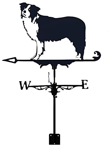 ANCNA Metal Weathervane Border Collie Dog ?Ornament Iron Weather Vane Weathercock Wind Direction Indicator Scene Garden Measuring Tools with Mounting Bracket Corrosion Resistant
