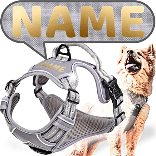 ne&no® Hundegeschirr PERSONALISIERT mit passenden Ruckdämpfer [Developed by NE&NO] Hunde Geschirrset | Brustgeschirr für kleine und große Hunde | Geschirr Hund | (XL)