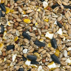 Wild Bird Food Seed Mix, 20kg All Round Seed mix, by Two Amigos Pet Supples