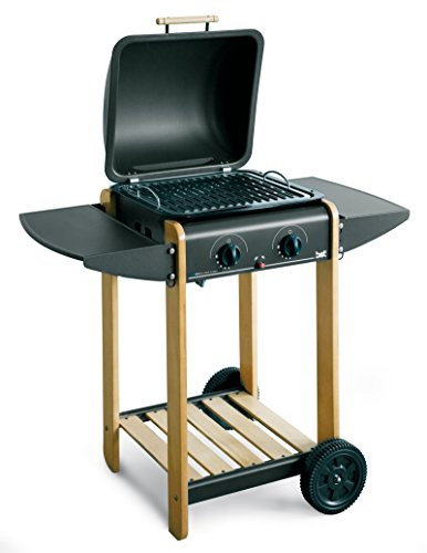 BST barbecue pietra lavica a gas gpl/metano 47X43X83cm griglia EUROWOODY SINGLE