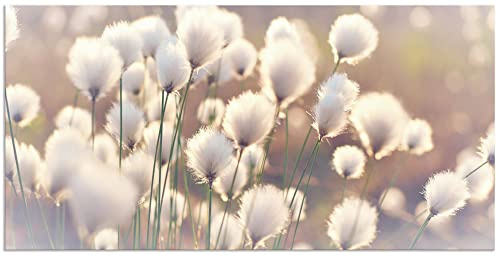 ARTland Wanddeko Wandbild Alu Verbundplatte für Innen & Outdoor Bild 100 x 50 cm Natur Zauber Idyll Frühling Moor Pflanzen Gräser Blumen Wollgras T2BZ