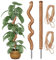 REKALRO 2 pièces 90CM bâton de mousse pliable avec 2 pièces de 2M de long corde de chanvre, bâton de noix de coco pour plantes, aides à l'escalade pour plantes grimpantes, support de plantes de jardin