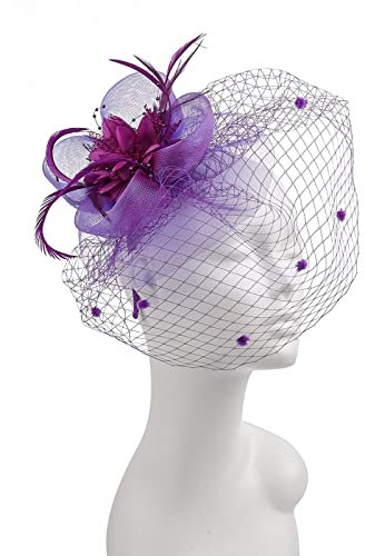 Fascinator Damen, Fascinator Damen Hut Blume Mesh Federn Schleier Hüte Cocktail Tee Party Kopfbedeckung Hochzeit Cocktail Jockey Club Kopfschmuck Fascinator Braut Stirnband Haarschmuck
