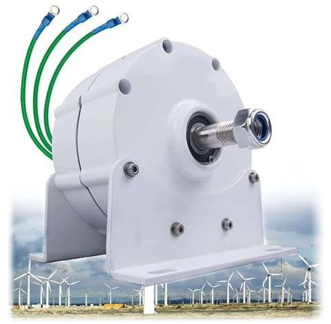 BAIYITONGDA Alternador trifásico, alternador de la CA del generador eléctrico DIY del Motor del imán Permanente 1000W para el aerogenerador Horizontal Vertical,12V