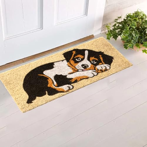 parpyon® Zerbino Ingresso casa Divertente Vulcano Piccolo cm 53x23 Tappeto Antiscivolo entrata scalino per Interno da Esterno tappeti Moderni in Cocco (CM 23X53, Disegno-5)