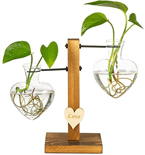 Gereton Terrarium en Verre avec Support en Bois, Vase en Coeur pour Bureau, Vase Hydroponique Vintage Transparent, Décor Bureau À Domicile, Cadeaux La Saint-Valentin