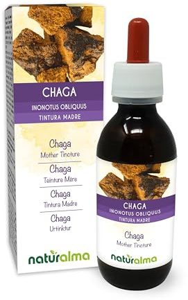 Chaga ou Polypore oblique (Inonotus obliquus) champignon Teinture Mère sans alcool Naturalma - Extrait liquide gouttes 120 ml - Complément alimentaire - Végétalien ou végan