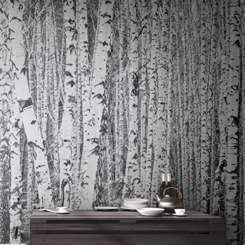 TADESSI | Fototapete | Vliestapete | Digitaldruck mit Birkenwald-Optik | Schwarz | 3.71 x 2.80 m | Wald | Tapete für Wohnzimmer - Flur - Büro - Küche - Wohnräume