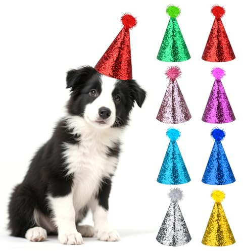 8 Stück Mini Partyhüte Für Kuscheltiere Verstellbare Katzen Geburtstags Hüte Blitzkappe Pailletten Happy Birthday Pompom Hut Geburtstag Zubehör Für Feiertage Deko Haustier Katzen Hund Party