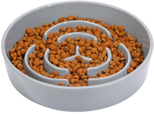 IDOGCHEW Gamelle Anti Glouton Chien Céramique, Diamètre 20,5 cm, Gris | 2 Tasses, Lavage Lave-Vaisselle, Croquettes et Pâtée