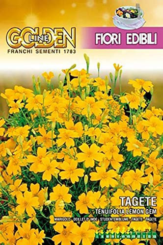SEMI TAGETE TENUIFOLIA LEMON EDIBILE FRANCHI SEMENTI