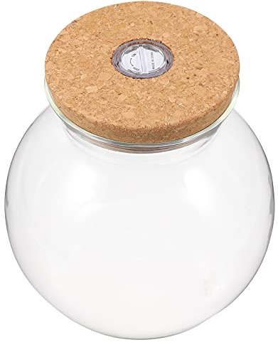jojofuny Vase en verre Terrarium en verre bouteille écologique avec couvercle en liège et plante lumineuse LED Terrarium pour plantes succulentes Fern Moss Air Plants