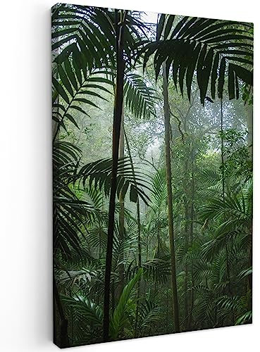 MuchoWow© Impressions sur Toile 80x120 cm Deco Tableau Murale Decoration Salon Peinture Tableaux Chambre Toiles Maison Forêt tropicale - Tropicale - Jungle - Arbres - Plantes