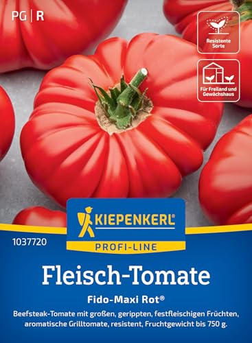 Kiepenkerl Fleisch-Tomatensamen Fido-Maxi Rot 1037720, Gemüsesaat | Fruchtgewicht bis 750 g, Samengemüse, Wuchshöhe 150-200 cm, kernarm, für Freiland, Gewächshaus & Topf