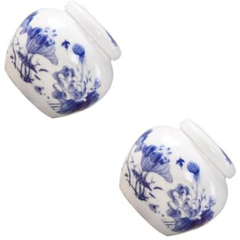 Cabilock 2 Piezas Frasco Sellado De Medicina Tradicional China Organizador Tarro De Almacenamiento De Bolsitas De Té Frascos De Boticario Contenedor De Té Recipiente De Crema Dulce Cerámica
