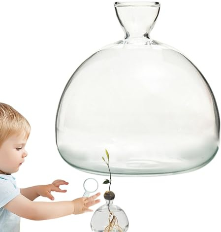 Vase de Culture en Verre pour avocats et châtaignes, Vase Transparent hydroponique, kit de Culture d'avocat, récipient d'avocat, décoration d'intérieur, Cadeau pour Les Amateurs de Jardin