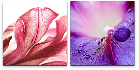Paul Sinus Art Wandbild 2x60x60cm Blumen rote Blüte blaue Blüte Wassertropfen Wasserperlen Dekorativ Makrofotografie