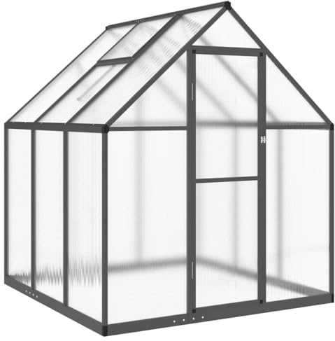 vidaXL Växthus med ram antracit 169x169x195 cm aluminium